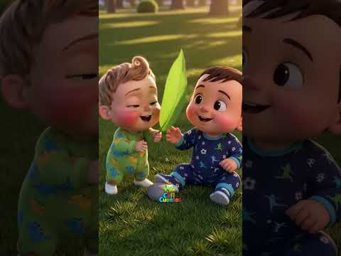 Miguel y Juan descubren la naturaleza en el parque! 🪨🍃🌼