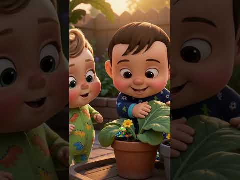 A regar las plantitas! 🌱💧 Juan y Miguel enseñan a cuidar la n…